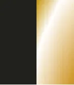 Graphite Matt Full Gold